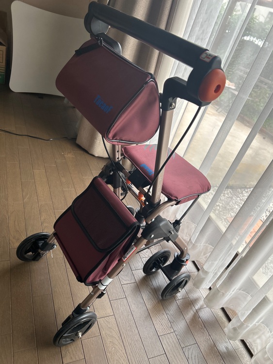 【幸和製作所(TacaoF)】シルバーカー テイコブナノンDX（介護用品）の商品画像 - 査定依頼日：2025年11月9日 - 最高査定価格：5,000円