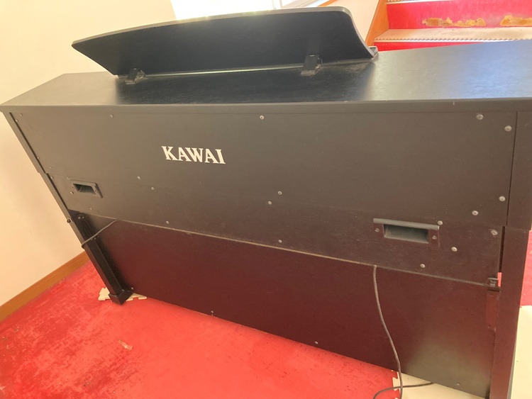 CA901（ピアノ・楽器・PA機材）の商品画像 - 査定依頼日：2026年2月22日 - 最高査定価格：5,000円