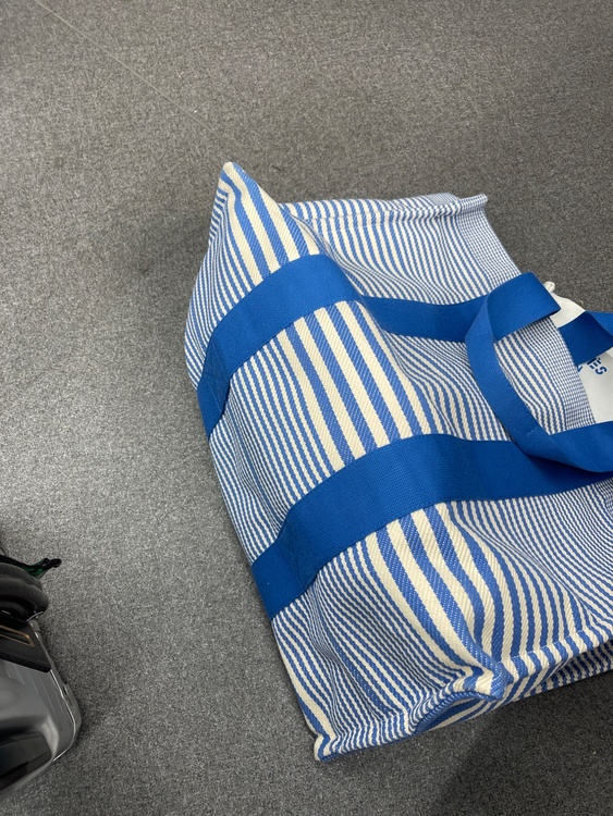 トートバック大（ブランドバッグ）の商品画像 - 査定依頼日：2026年1月16日 - 最高査定価格：50,000円