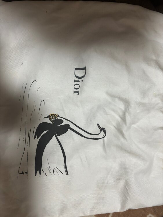 レディディオール（ブランド財布・小物）の商品画像 - 査定依頼日：2025年3月29日 - 最高査定価格：150,000円