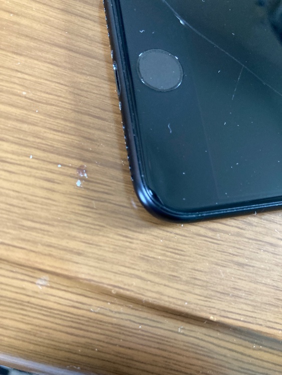 iPhone SE（スマホ）の商品画像 - 査定依頼日：2026年3月15日 - 最高査定価格：10,000円