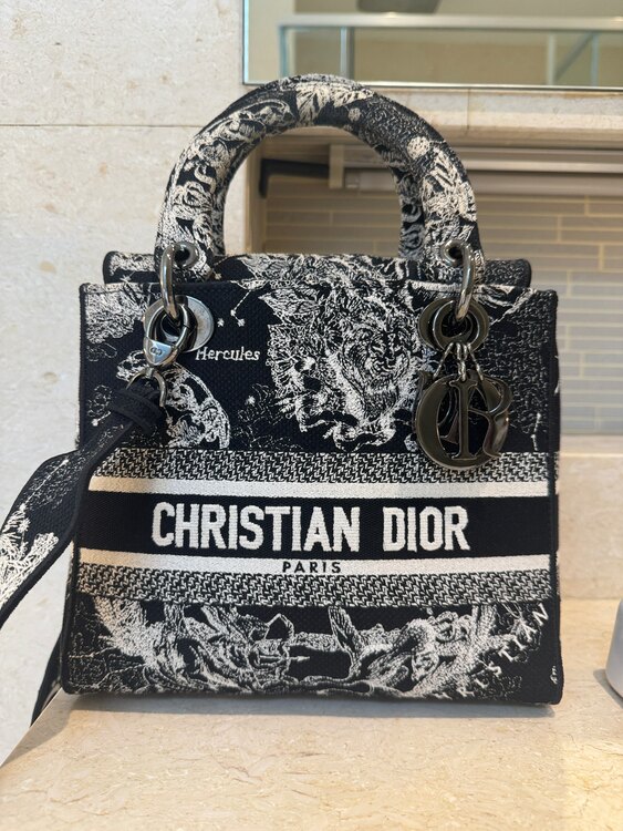 レディディオール（ブランドバッグ）の商品画像 - 査定依頼日：2025年2月6日 - 最高査定価格：280,000円