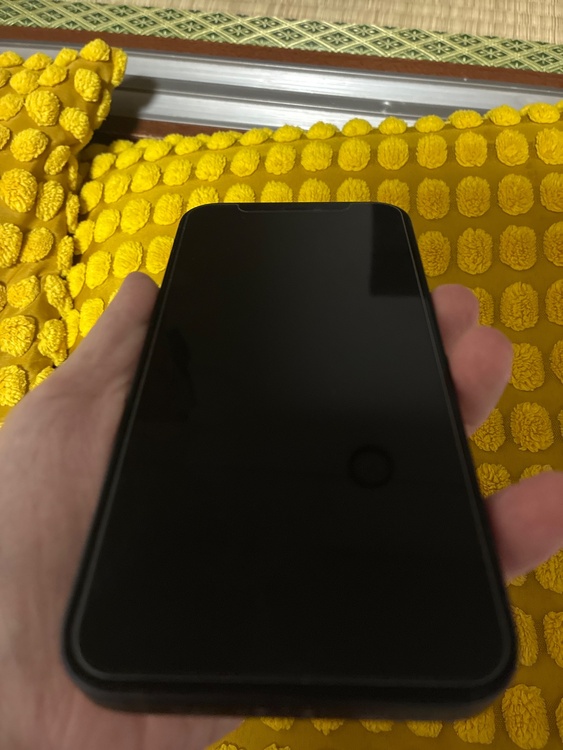 iPhone iPhone 12 64GB au（スマホ）の商品画像 - 査定依頼日：2026年8月9日 - 最高査定価格：23,000円