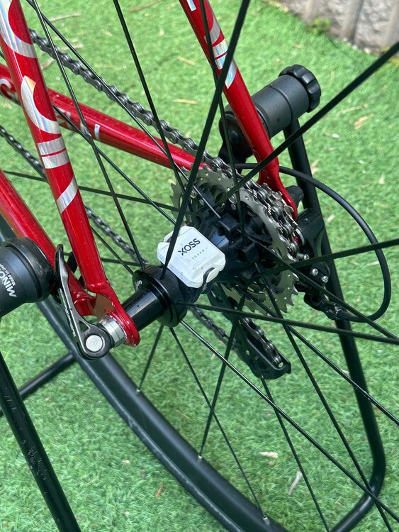 Cinelli VIGORELLI SHARK ピストバイク Shimano 1（自転車）の商品画像 - 査定依頼日：2025年2月23日 - 最高査定価格：75,000円