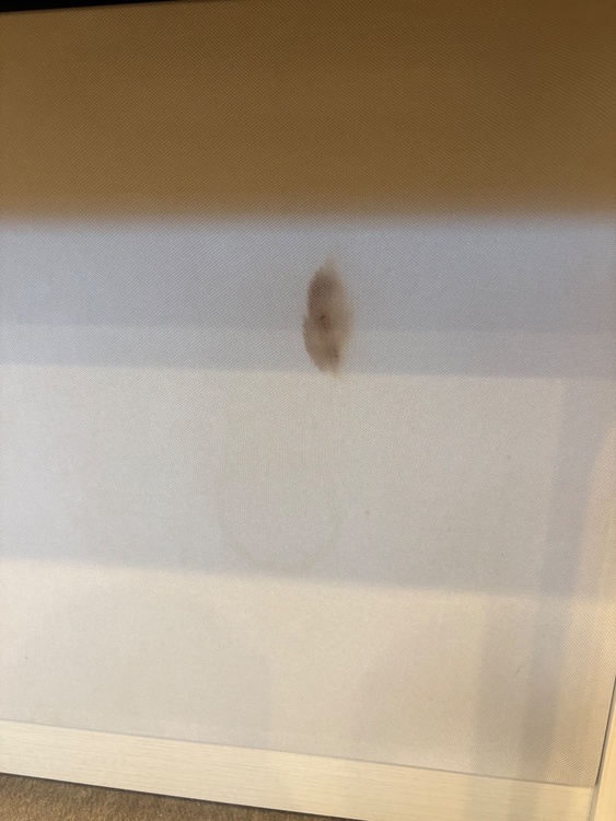 LX706GP（ピアノ・楽器・PA機材）の商品画像 - 査定依頼日：2026年2月7日 - 最高査定価格：90,000円