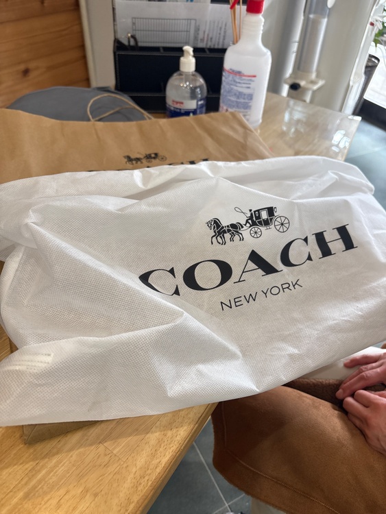 その他 コーチ （ブランドバッグ）の商品画像 - 査定依頼日：2025年12月16日 - 最高査定価格：6,000円