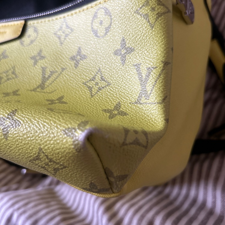 ルイヴィトン タイガ （ブランドバッグ）の商品画像 - 査定依頼日：2025年11月25日 - 最高査定価格：100,000円