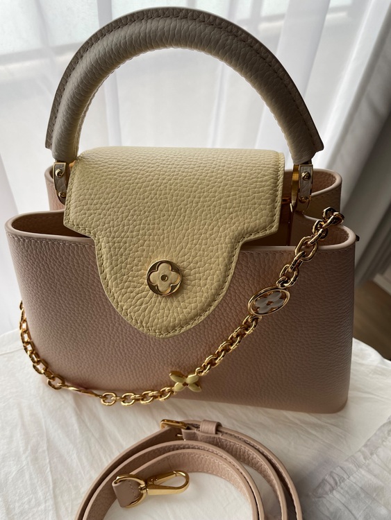 カプシーヌ（ブランドバッグ）の商品画像 - 査定依頼日：2025年10月29日 - 最高査定価格：450,000円