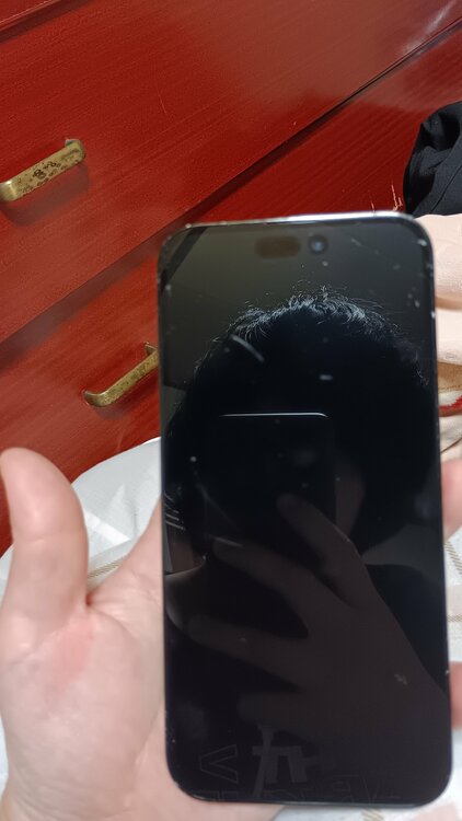 iPhone iPhone 14 Pro Max 256GB SIMフリー（スマホ）の商品画像 - 査定依頼日：2026年9月15日 - 最高査定価格：69,000円