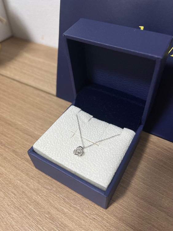 AJBN132440DI（金・貴金属）の商品画像 - 査定依頼日：2026年3月27日 - 最高査定価格：10,000円