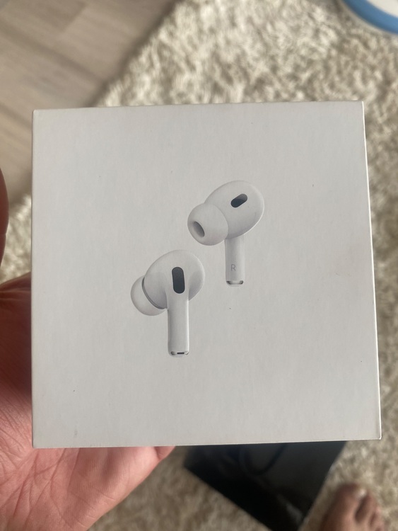 AIrpods pro MTJV3J/A（オーディオ・スピーカー）の商品画像 - 査定依頼日：2025年8月24日 - 最高査定価格：22,000円