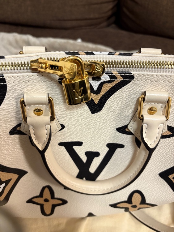 ルイヴィトン スピーディー （ブランドバッグ）の商品画像 - 査定依頼日：2025年11月26日 - 最高査定価格：270,000円