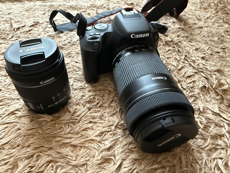  EOS kiss x9（カメラ）の商品画像 - 査定依頼日：2026年2月27日 - 最高査定価格：45,000円