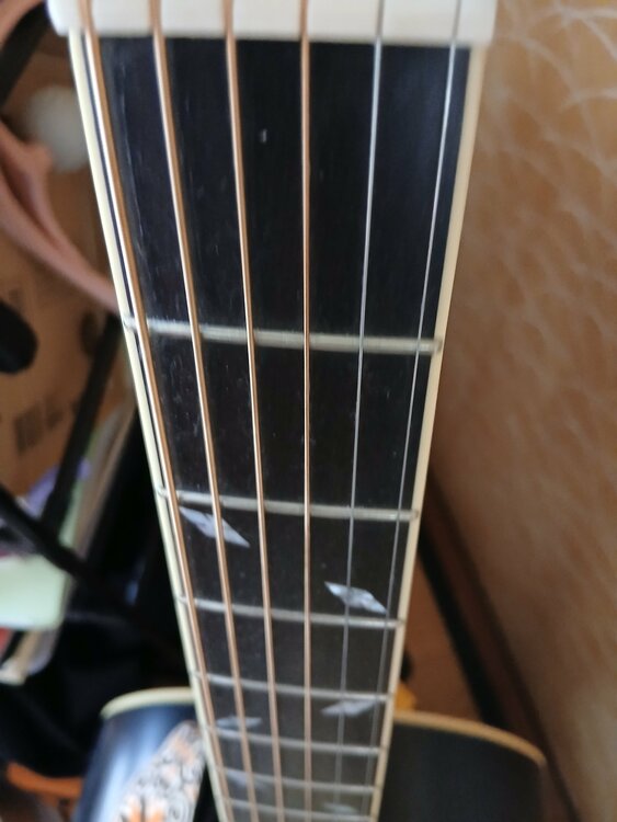 Epiphone masterbuild zenith（ピアノ・楽器・PA機材）の商品画像 - 査定依頼日：2026年4月12日 - 最高査定価格：25,000円