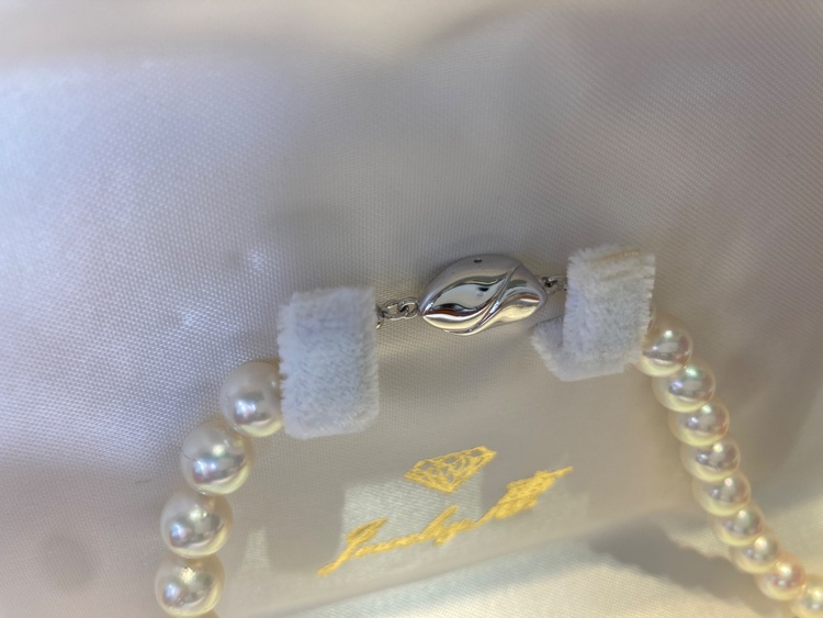 ネックレス、イヤリング（宝石）の商品画像 - 査定依頼日：2026年2月1日 - 最高査定価格：20,000円