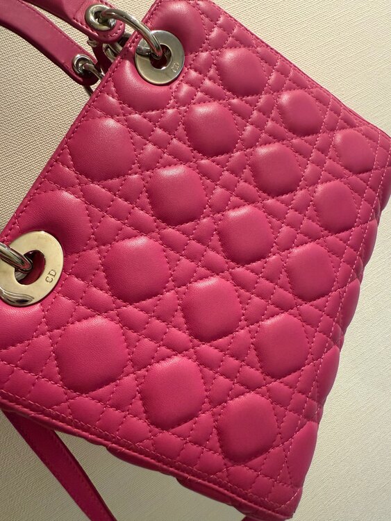 レディディオール（ブランドバッグ）の商品画像 - 査定依頼日：2025年2月23日 - 最高査定価格：110,000円