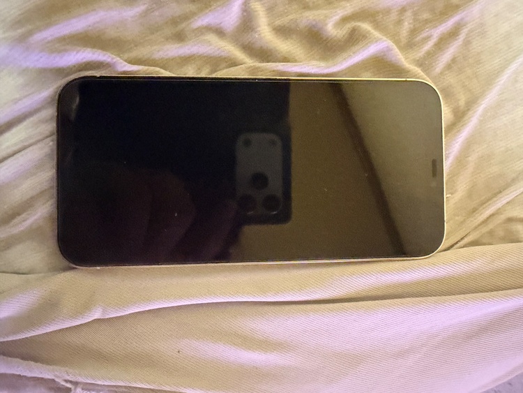 iPhone 12 Pro Max 128GB docomo（スマホ）の商品画像 - 査定依頼日：2026年3月19日 - 最高査定価格：38,000円