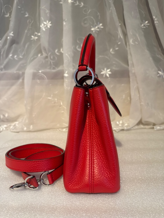 カプシーヌBB 2wayハンドバッグ（ブランドバッグ）の商品画像 - 査定依頼日：2026年4月14日 - 最高査定価格：240,000円