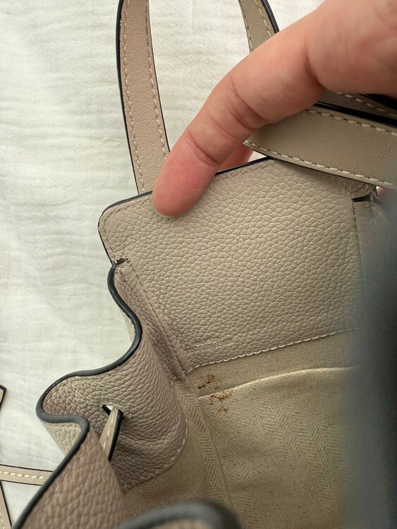 ロエベ ハンモック ミニ（ブランドバッグ）の商品画像 - 査定依頼日：2025年5月29日 - 最高査定価格：100,000円