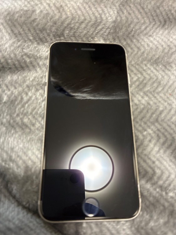 iPhone iPhone SE (第 3 世代) 256GB SIMフリー（スマホ）の商品画像 - 査定依頼日：2026年7月20日 - 最高査定価格：30,000円