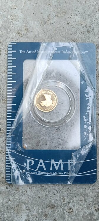 パンプ社のエンジェルコイン（金・貴金属）の商品画像 - 査定依頼日：2026年6月10日 - 最高査定価格：28,000円