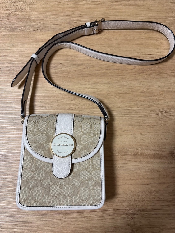 その他 コーチ （ブランドバッグ）の商品画像 - 査定依頼日：2026年1月30日 - 最高査定価格：2,500円