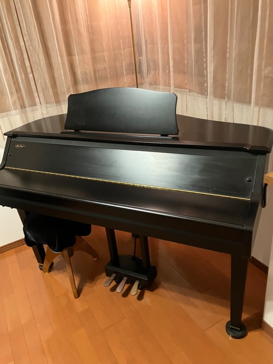 グランタッチ DGP-1（ピアノ・楽器・PA機材）の商品画像 - 査定依頼日：2026年5月23日 - 最高査定価格：1,500円