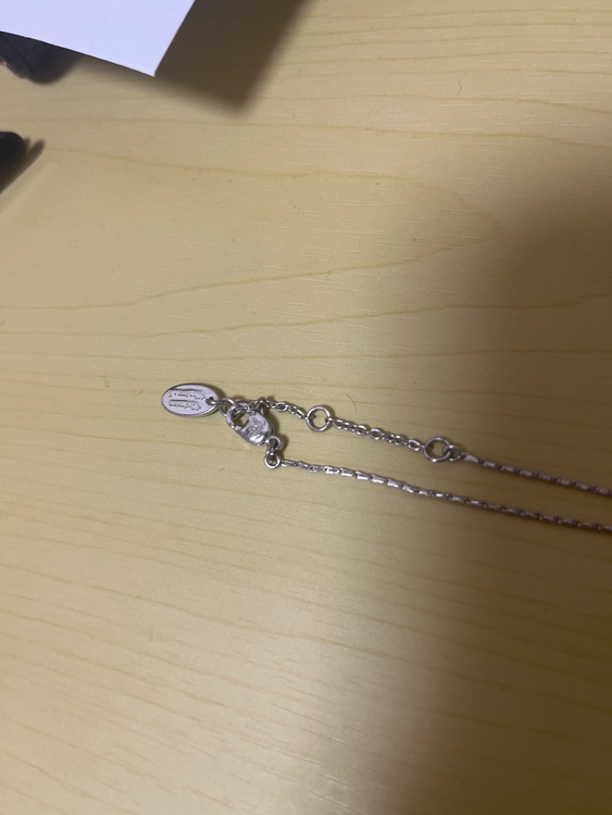 ヴィヴィアンウエストウッドネックレス（古着・ファッション）の商品画像 - 査定依頼日：2026年3月25日 - 最高査定価格：1,000円