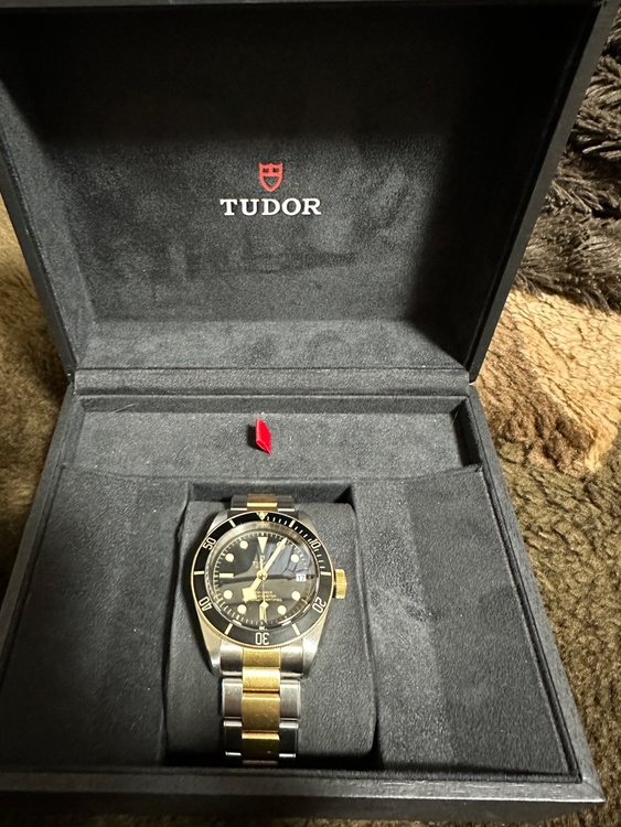 チューダー ブラックベイ 7973（高級時計）の商品画像 - 査定依頼日：2026年2月17日 - 最高査定価格：600,000円