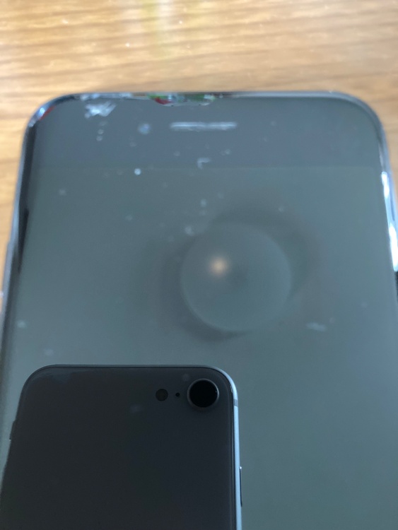 iPhone SE（スマホ）の商品画像 - 査定依頼日：2026年3月15日 - 最高査定価格：10,000円