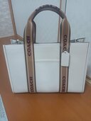 その他 コーチ （ブランドバッグ）の商品画像 - 査定依頼日：2026年4月5日 - 最高査定価格：5,000円