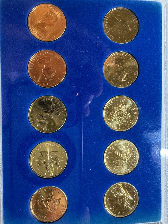 1988年製 メイプルリーフ金貨 1/4オンス（約7.77g）が10枚、ダイナー（金・貴金属）の商品画像 - 査定依頼日：2026年6月14日 - 最高査定価格：1,800,000円