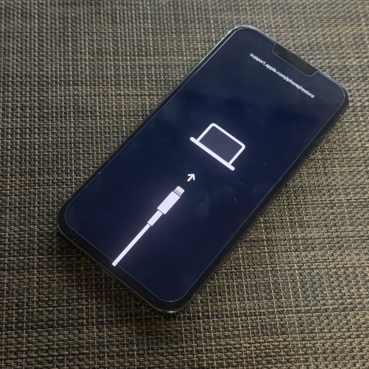 iPhone 13 Pro 256GB SIMフリー（スマホ）の商品画像 - 査定依頼日：2026年5月7日 - 最高査定価格：31,000円