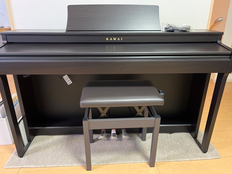 CN201R（ピアノ・楽器・PA機材）の商品画像 - 査定依頼日：2025年10月9日 - 最高査定価格：18,000円