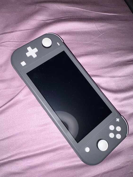 switch light（ゲーム機本体・ゲームソフト）の商品画像 - 査定依頼日：2025年8月18日 - 最高査定価格：9,500円