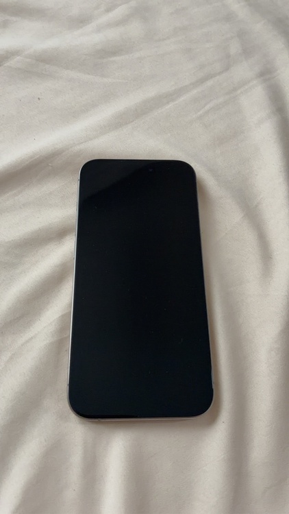 iPhone iPhone 15 Pro 256GB SIMフリー（スマホ）の商品画像 - 査定依頼日：2026年9月28日 - 最高査定価格：92,000円