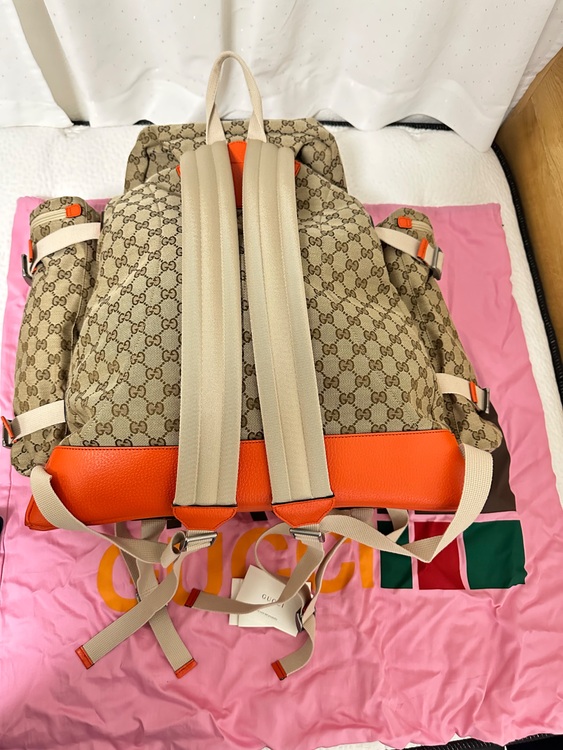 The North Face x Gucci バックパック（ブランドバッグ）の商品画像 - 査定依頼日：2025年8月31日 - 最高査定価格：100,000円