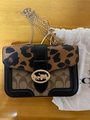 COACH（ブランドバッグ）の商品画像 - 査定依頼日：2026年3月22日 - 最高査定価格：10,000円