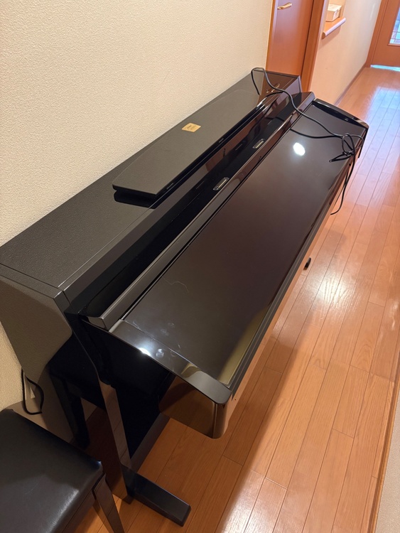 グラビノーパ（ピアノ・楽器・PA機材）の商品画像 - 査定依頼日：2026年1月24日 - 最高査定価格：5,000円