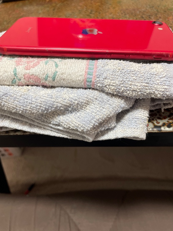 iPhone SE (第 2 世代) 64GB SIMフリー（スマホ）の商品画像 - 査定依頼日：2026年4月1日 - 最高査定価格：13,000円