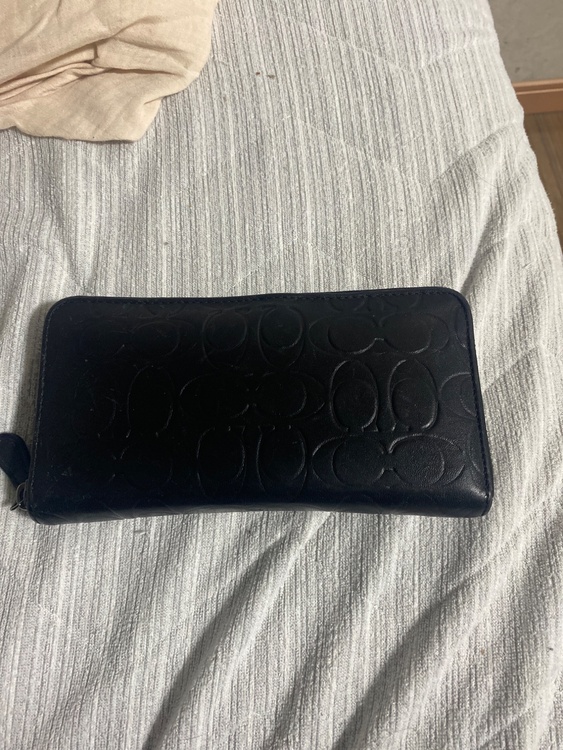 その他 コーチ （ブランドバッグ）の商品画像 - 査定依頼日：2026年3月31日 - 最高査定価格：1,500円