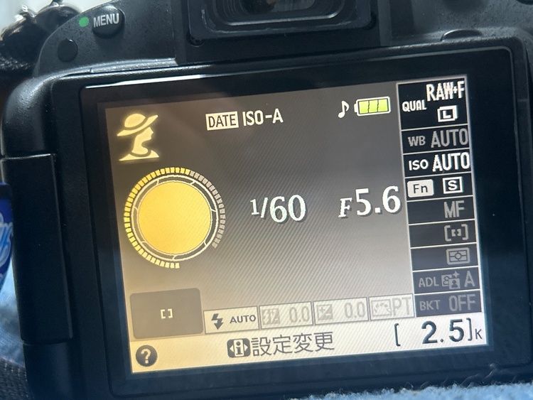 NikonD5100（カメラ）の商品画像 - 査定依頼日：2026年9月3日 - 最高査定価格：7,000円