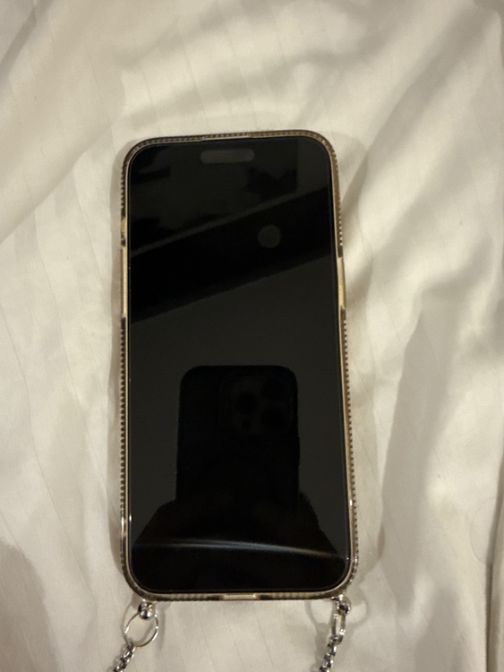 iPhone 15 Pro Max 512GB SIMフリー（スマホ）の商品画像 - 査定依頼日：2026年5月16日 - 最高査定価格：99,000円