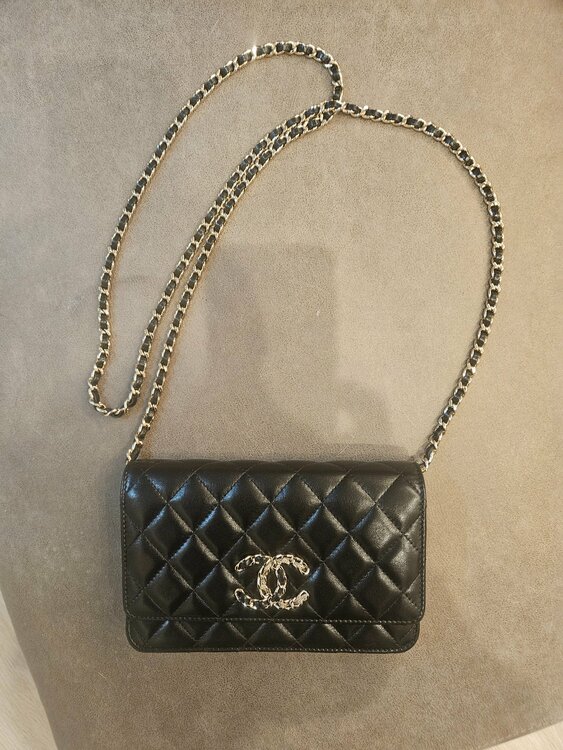 シャネル シャネル(その他) （ブランドバッグ）の商品画像 - 査定依頼日：2026年3月2日 - 最高査定価格：250,000円