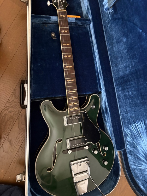 YAMAHA SA-50 アルガグリーン（ピアノ・楽器・PA機材）の商品画像 - 査定依頼日：2025年12月11日 - 最高査定価格：50,000円