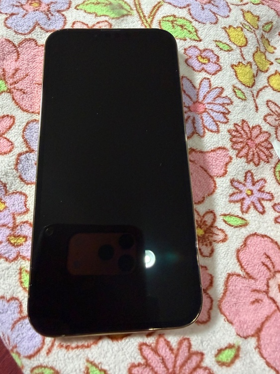 iPhone 13 Pro Max 256GB au（スマホ）の商品画像 - 査定依頼日：2026年1月25日 - 最高査定価格：61,000円