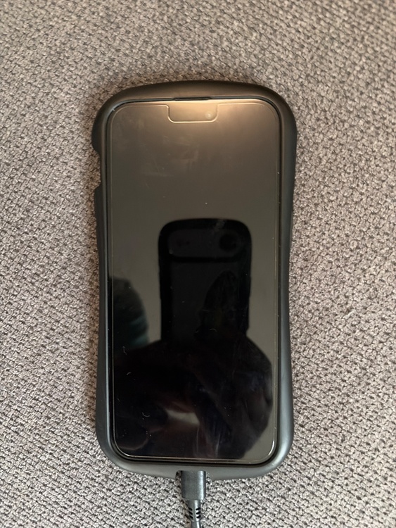 iPhone iPhone 17 Pro Max 256GB SIMフリー（スマホ）の商品画像 - 査定依頼日：2026年6月30日 - 最高査定価格：166,000円