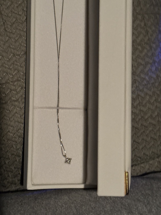 プラチナダイアモンドプチネックレス（宝石）の商品画像 - 査定依頼日：2026年2月3日 - 最高査定価格：31,000円