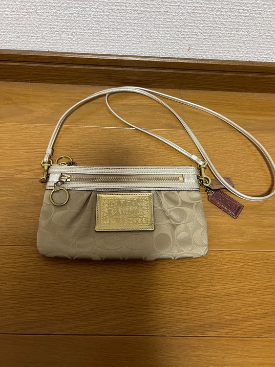 商品名不明（ブランドバッグ）の商品画像 - 査定依頼日：2026年9月18日 - 最高査定価格：1,000円