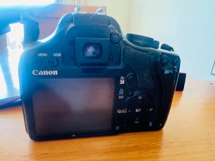 kissx2（カメラ）の商品画像 - 査定依頼日：2025年10月17日 - 最高査定価格：8,000円